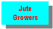 Text Box: Jute Growers