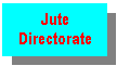 Text Box: Jute Directorate